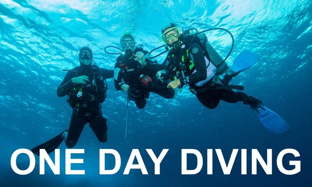 DIVING PARTNERSHIP