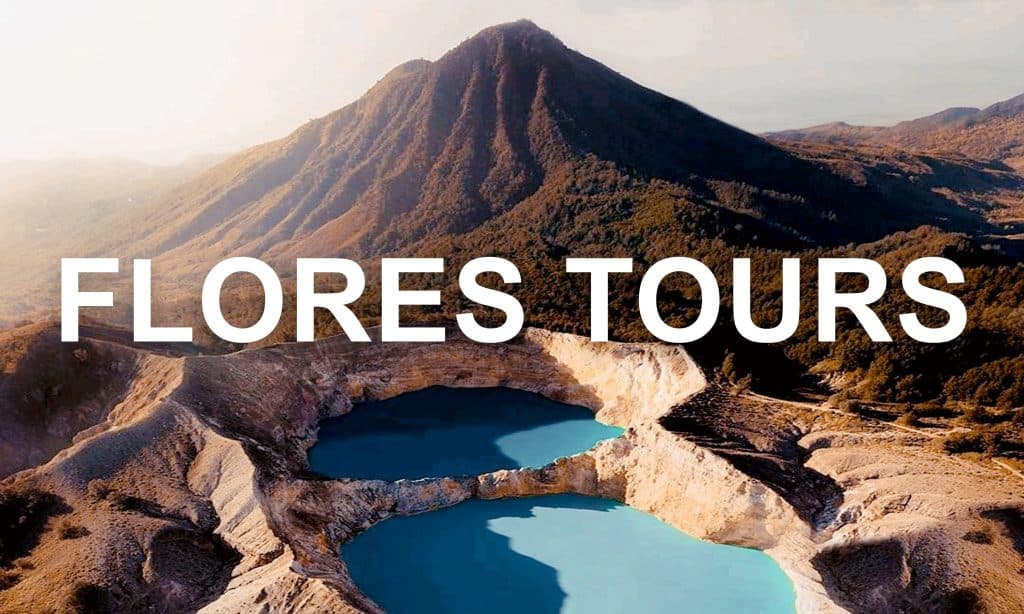 FLORES TOURS PARTNERSHIP