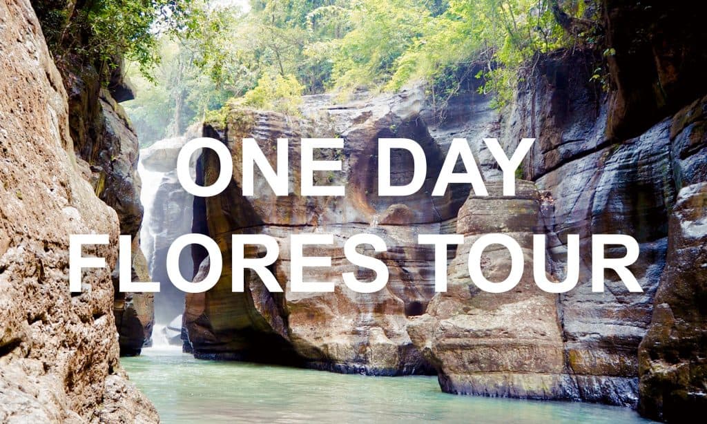 ONE DAY FLORES TOUR PARTNERSHIP
