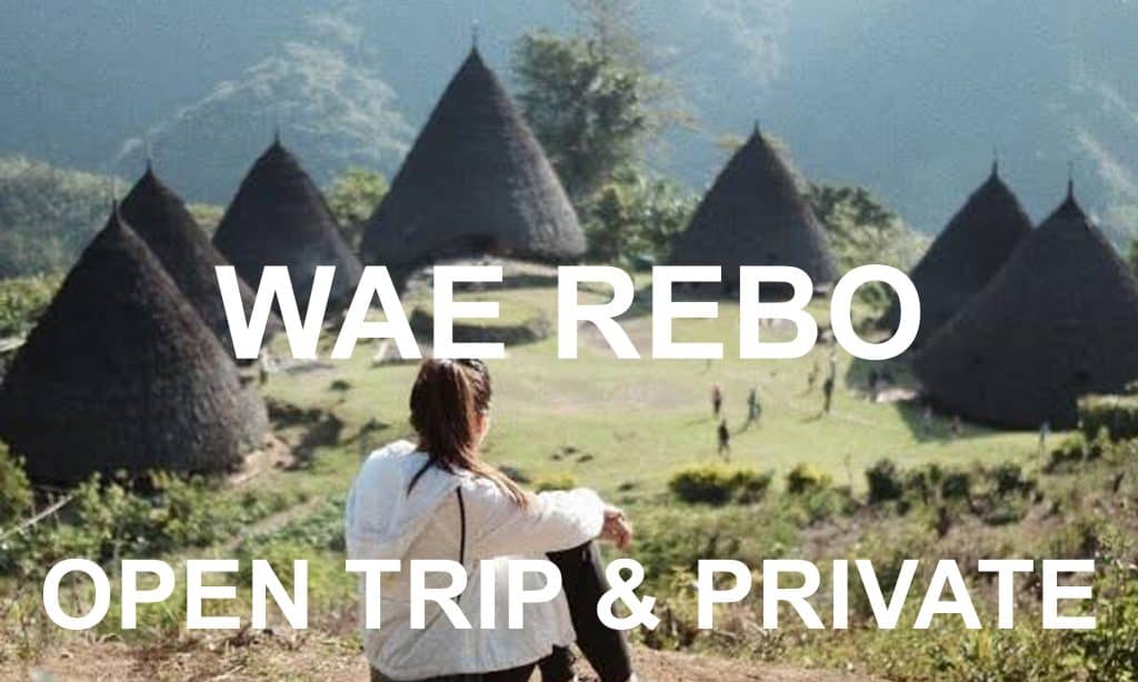 WAE REBO PARTNERSHIP